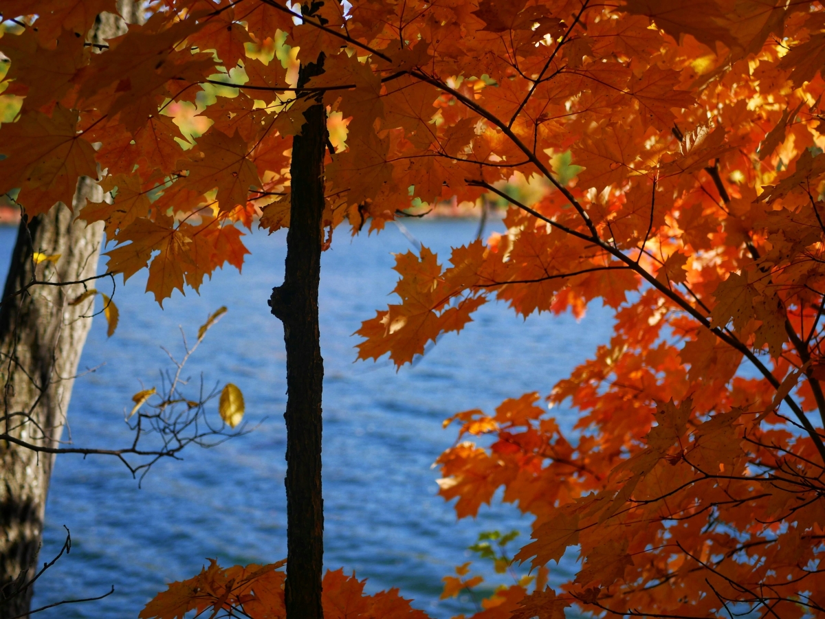 Family activities in autumn
