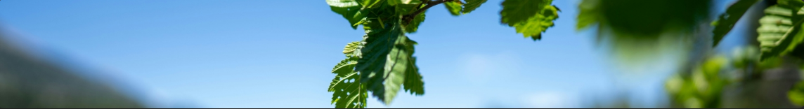 Circular economy examples near me
