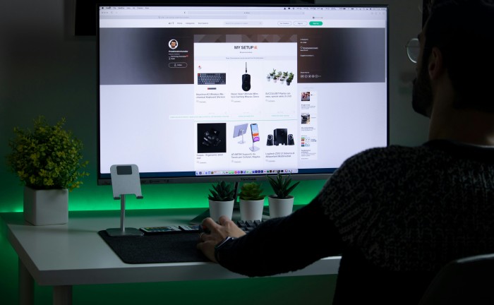 Web Designer