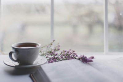Boost Your Books &amp; Publishing Online Visibility